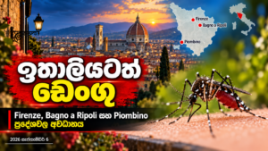 ඉතාලියටත් ඩෙංගු — Firenze, Bagno a Ripoli සහ Piombino ප්‍රදේශවල අවධානය