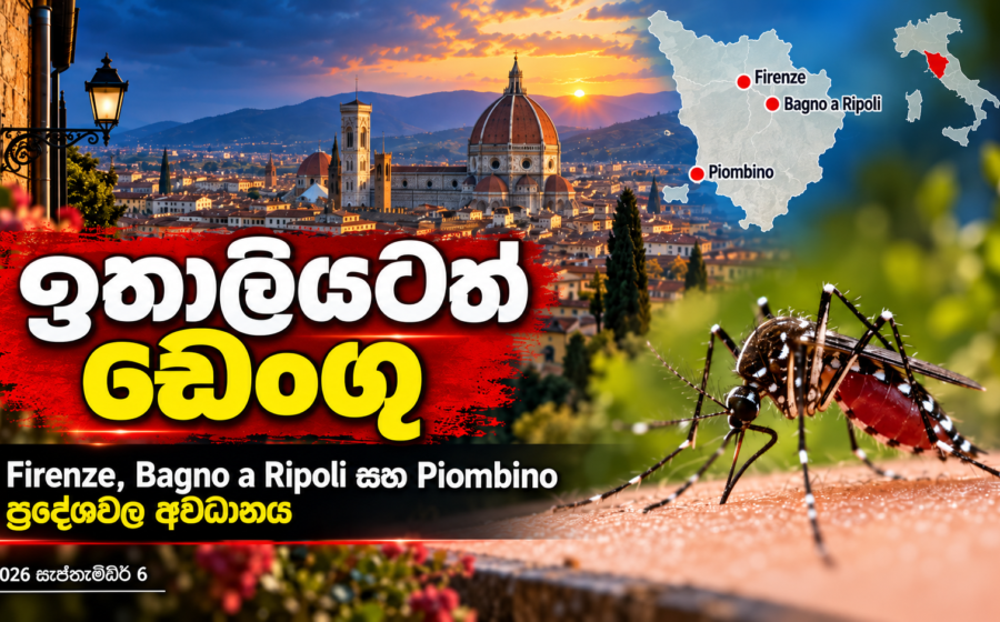 ඉතාලියටත් ඩෙංගු — Firenze, Bagno a Ripoli සහ Piombino ප්‍රදේශවල අවධානය